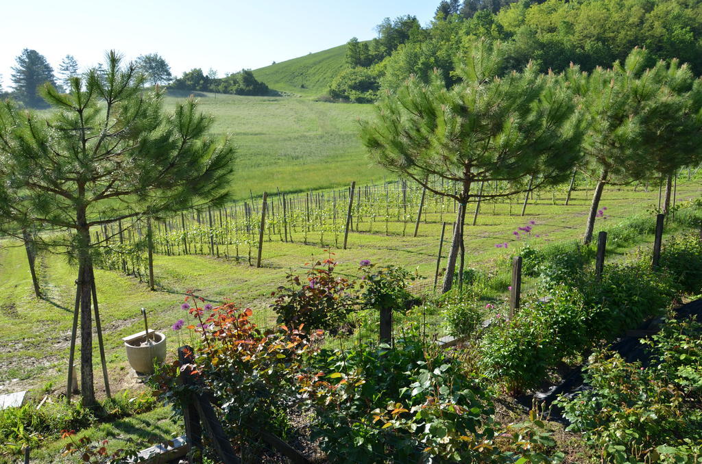 Готель Cascina Castagneto Castell'Alfero Екстер'єр фото